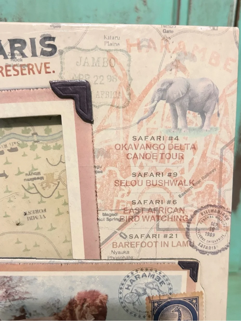 Walt Disney World Disney’s Animal Kingdom Kilimanjaro Safaris Harambe Frame
